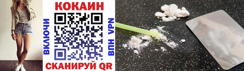 дарк нет какой сайт  Алзамай  COCAIN Fish Scale  как найти закладки  MEGA маркетплейс 
