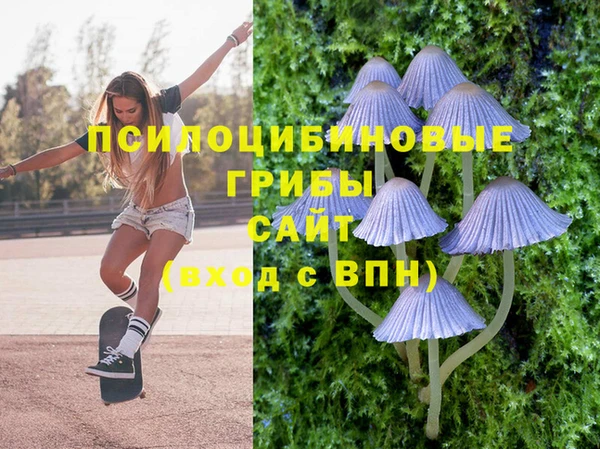 mix Алексин