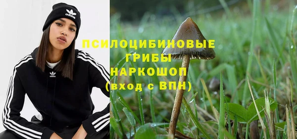 ECSTASY Алексеевка