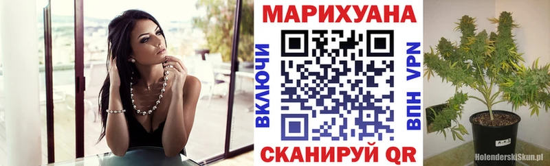 дарк нет какой сайт  kraken вход  Бошки Шишки гибрид  Алзамай  наркота 